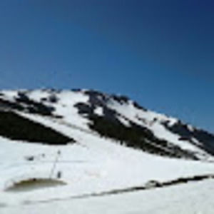 Meet your Posher, Bernardo